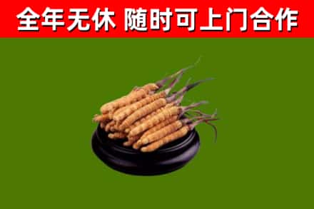 寿光市烟酒回收冬虫夏草.jpg
